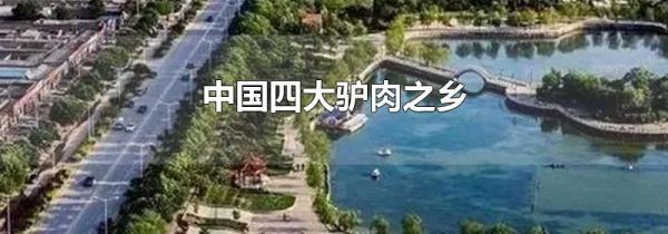 中国四大驴肉之乡