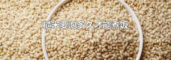 糙米要泡多久才能煮饭