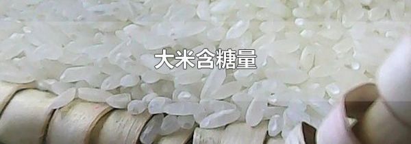 大米含糖量