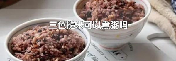 三色糙米可以煮粥吗