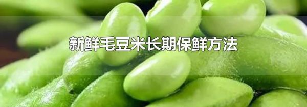 新鲜毛豆米长期保鲜方法