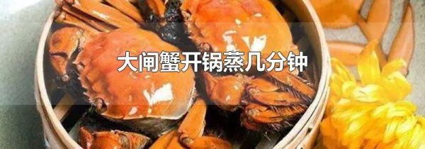 大闸蟹开锅蒸几分钟