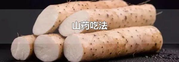 山药吃法