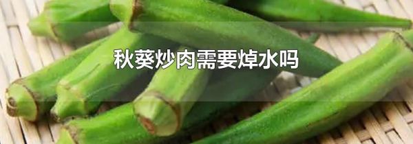 秋葵炒肉需要焯水吗