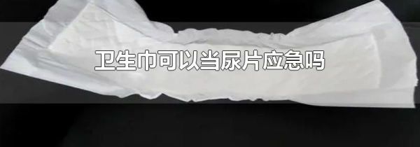 卫生巾可以当尿片应急吗