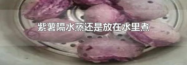 紫薯隔水蒸还是放在水里煮
