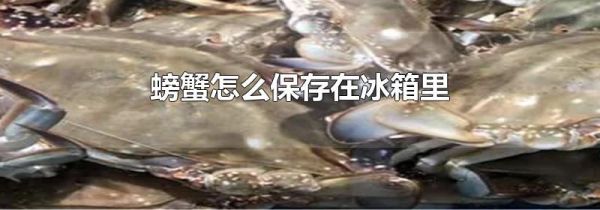 螃蟹怎么保存在冰箱里