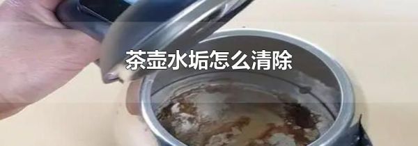 茶壶水垢怎么清除