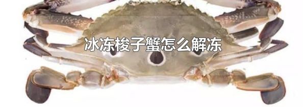 冰冻梭子蟹怎么解冻