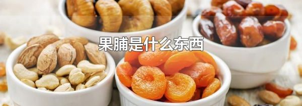 果脯是什么东西