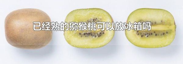 已经熟的猕猴桃可以放冰箱吗