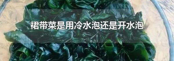 裙带菜是用冷水泡还是开水泡