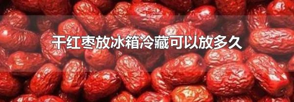 干红枣放冰箱冷藏可以放多久