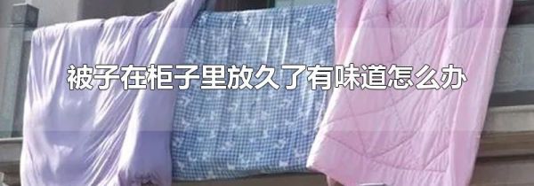 被子在柜子里放久了有味道怎么办