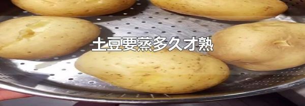 土豆要蒸多久才熟