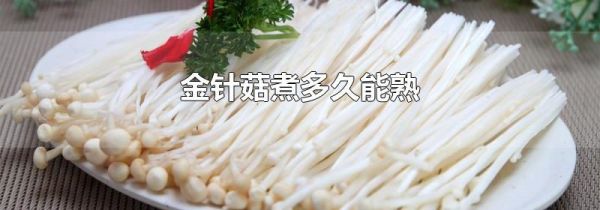 金针菇煮多久能熟