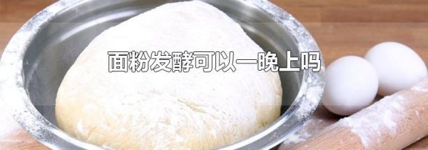 面粉发酵可以一晚上吗