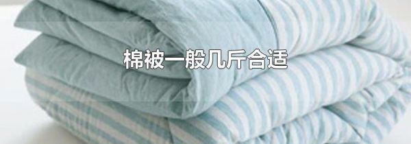 棉被一般几斤合适