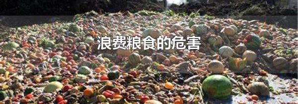 浪费粮食的危害