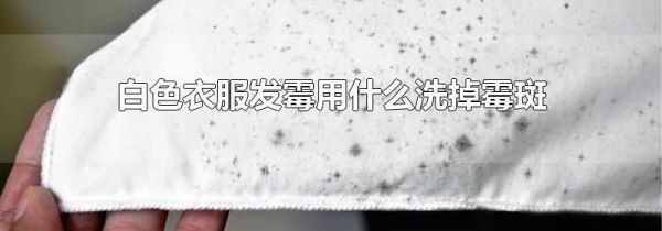 白色衣服发霉用什么洗掉霉斑
