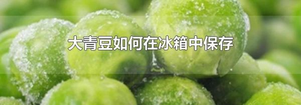 大青豆如何在冰箱中保存
