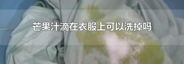 芒果汁滴在衣服上可以洗掉吗