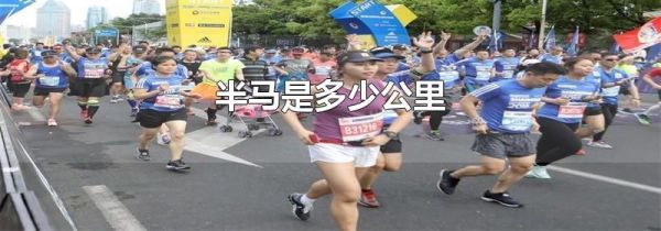 半马是多少公里