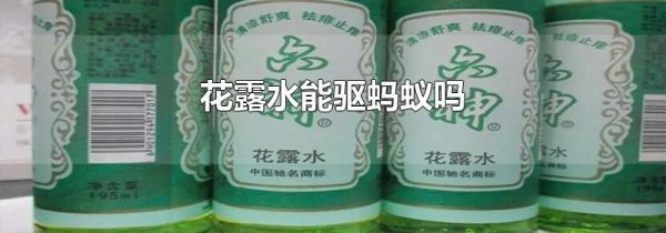 花露水能驱蚂蚁吗