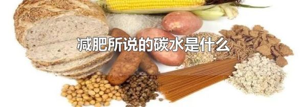 减肥所说的碳水是什么