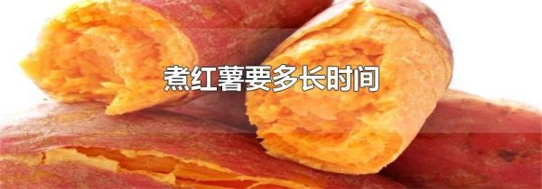煮红薯要多长时间