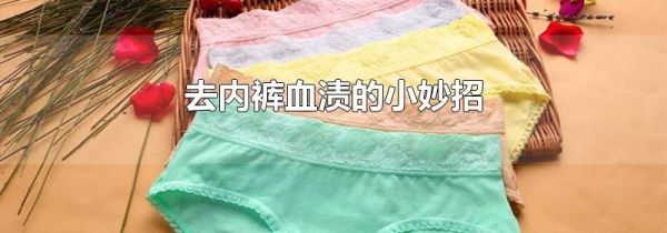 去内裤血渍的小妙招