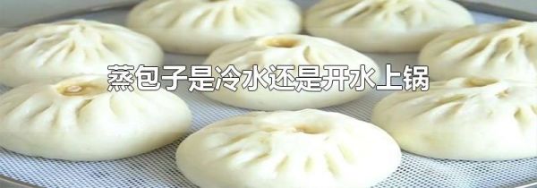 蒸包子是冷水还是开水上锅