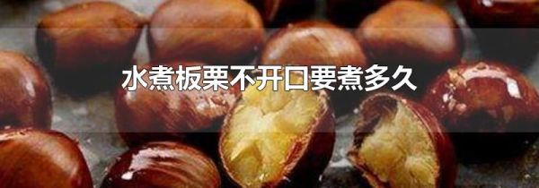 水煮板栗不开口要煮多久
