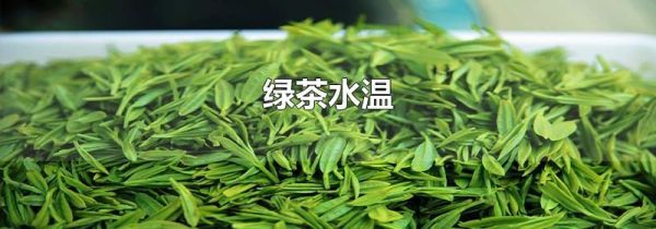 绿茶水温