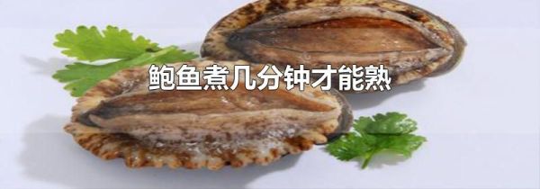 鲍鱼煮几分钟才能熟