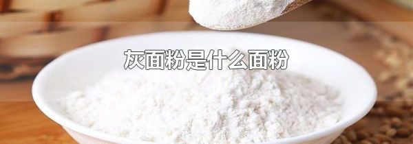 灰面粉是什么面粉