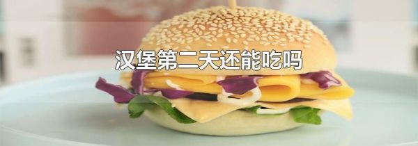 汉堡第二天还能吃吗