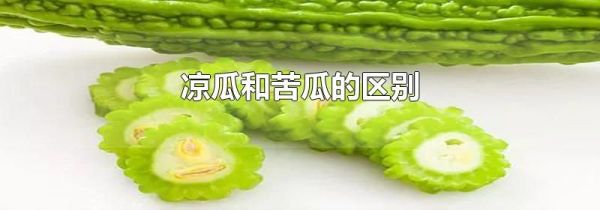 凉瓜和苦瓜的区别