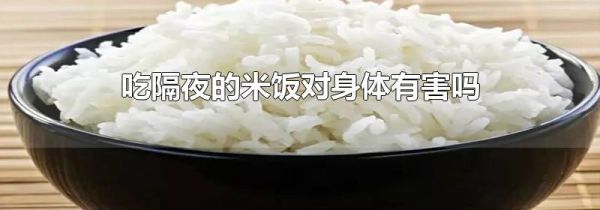 吃隔夜的米饭对身体有害吗