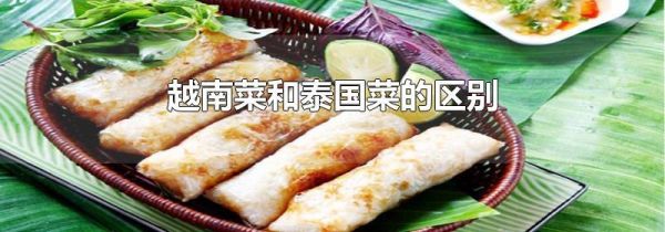 越南菜和泰国菜的区别