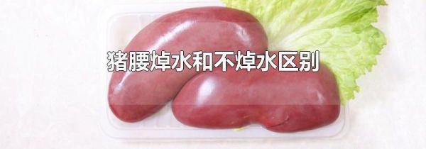 猪腰焯水和不焯水区别