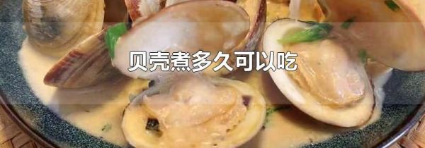 贝壳煮多久可以吃