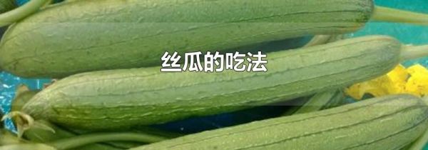 丝瓜的吃法