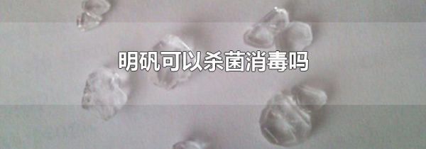 明矾可以杀菌消毒吗