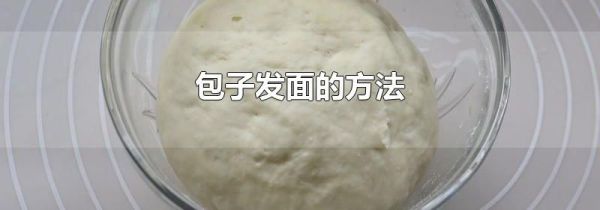包子发面的方法