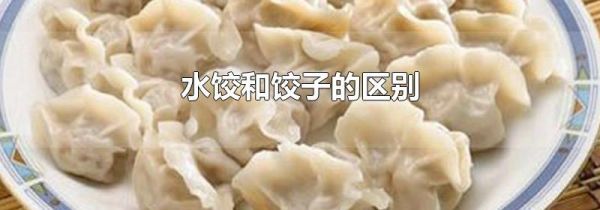 水饺和饺子的区别