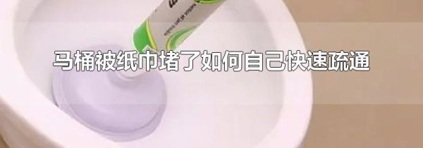 马桶被纸巾堵了如何自己快速疏通