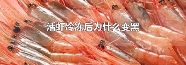 活虾冷冻后为什么变黑