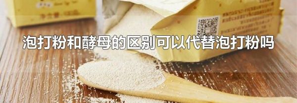 泡打粉和酵母的区别可以代替泡打粉吗