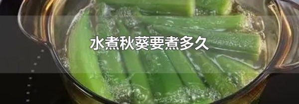 水煮秋葵要煮多久